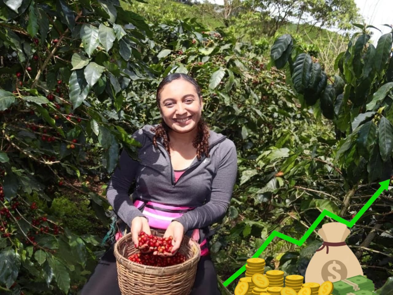Honduras celebra el Día de la Caficultura con ingresos récord en divisas